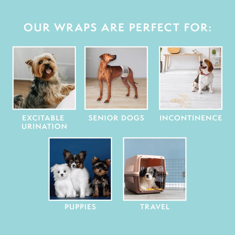 Simple Solution Disposable Dog Diapers Wraps for Male Dogs, True Fit, Absorbent, Leak Proof with Wetness Indicator, Puppy and Doggie Diaper for Peeing, For Small Pets, 12 â€“ 19 Inch Waist, 12 Count - Image 5